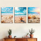 3pcs  Vibrant Ocean, Seashells & Starfish Metal Print Ready to Hang Art