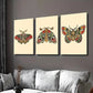 3pcs Retro Colorful Death Head Moth Skull Wall Art Set Canvas Framed 40x60cm - High Quality Print 100% Australian Made Wall Canvas Ready to Hang