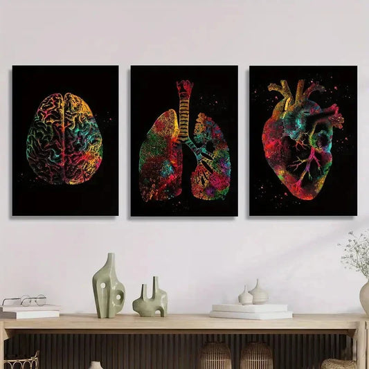 3pcs Brain, lungs and heart, abstract color Metal Print Ready to Hang Art