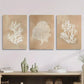 3pcs Beige coral art, seaweed botanical painting, Metal Print Ready to Hang Art