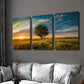 3pcs Trees in the Field & Sunset Landscape Wall Art Set Canvas Framed 40x60cm - High Quality Print 100% Australian Made Wall Canvas Ready to Hang