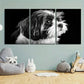 3pcs Black & White Dog Small Nose Metal Print Ready to Hang Art