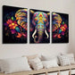 3pcs Colorful Elephant & Floral Wall Art Set Canvas Framed 40x60cm - High Quality Print 100% Australian Made Wall Canvas Ready to Hang