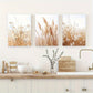 3pcs Beige Flowers Earth Classic Modern Style Metal Print Ready to Hang Art