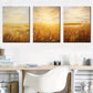 3pcs  Golden wheat fields, harvest farm country Wall Art Set Canvas Framed 40x60cm - High Quality Print 100% Australian Made Wall Canvas Ready to Hang