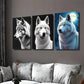 3pcs Black White Wolf with Stunning Blue Eyes Wall Art Set Canvas Framed 40x60cm - High Quality Print 100% Australian Made Wall Canvas Ready to Hang