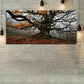 3pcs A Huge Tree Autumn Long Branches Wall Art Set Canvas Framed 40x60cm - High Quality Print 100% Australian Made Wall Canvas Ready to Hang