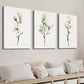 3pcs Graceful Magnolia Branches Wall Art Set Canvas Framed 40x60cm - High Quality Print 100% Australian Made Wall Canvas Ready to Hang