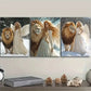 3pcs The girl and the lion in the snow Wall Art Set Canvas Framed 40x60cm - High Quality Print 100% Australian Made Wall Canvas Ready to Hang