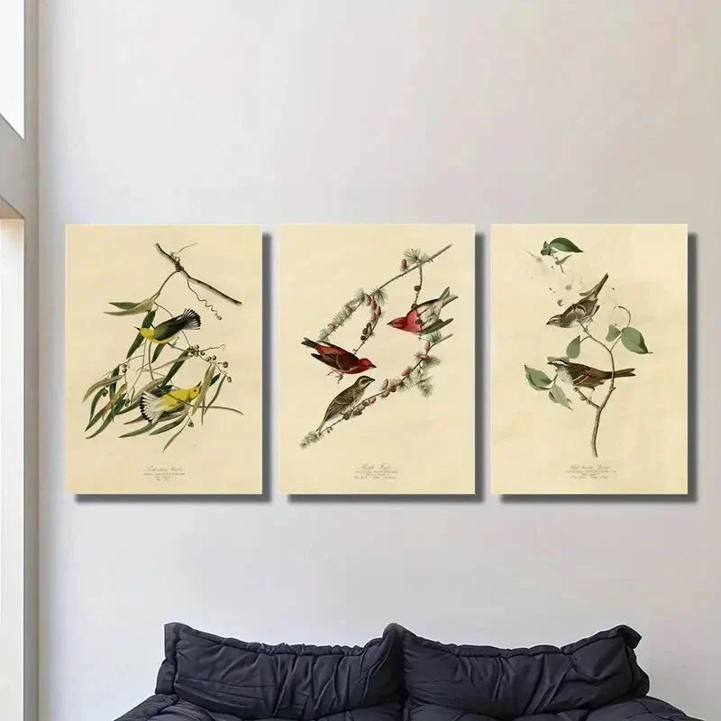 3pcs style birds of America illustration, Metal Print Ready to Hang Art