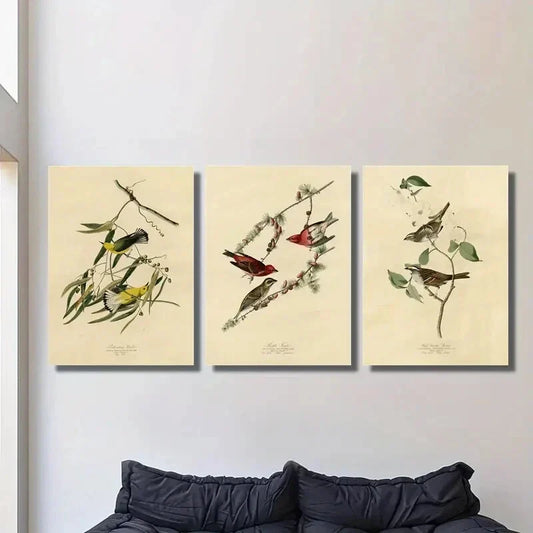 3pcs style birds of America illustration, Metal Print Ready to Hang Art
