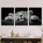 3pcs Leopard Black & White Elegant Animal Metal Print Ready to Hang Art