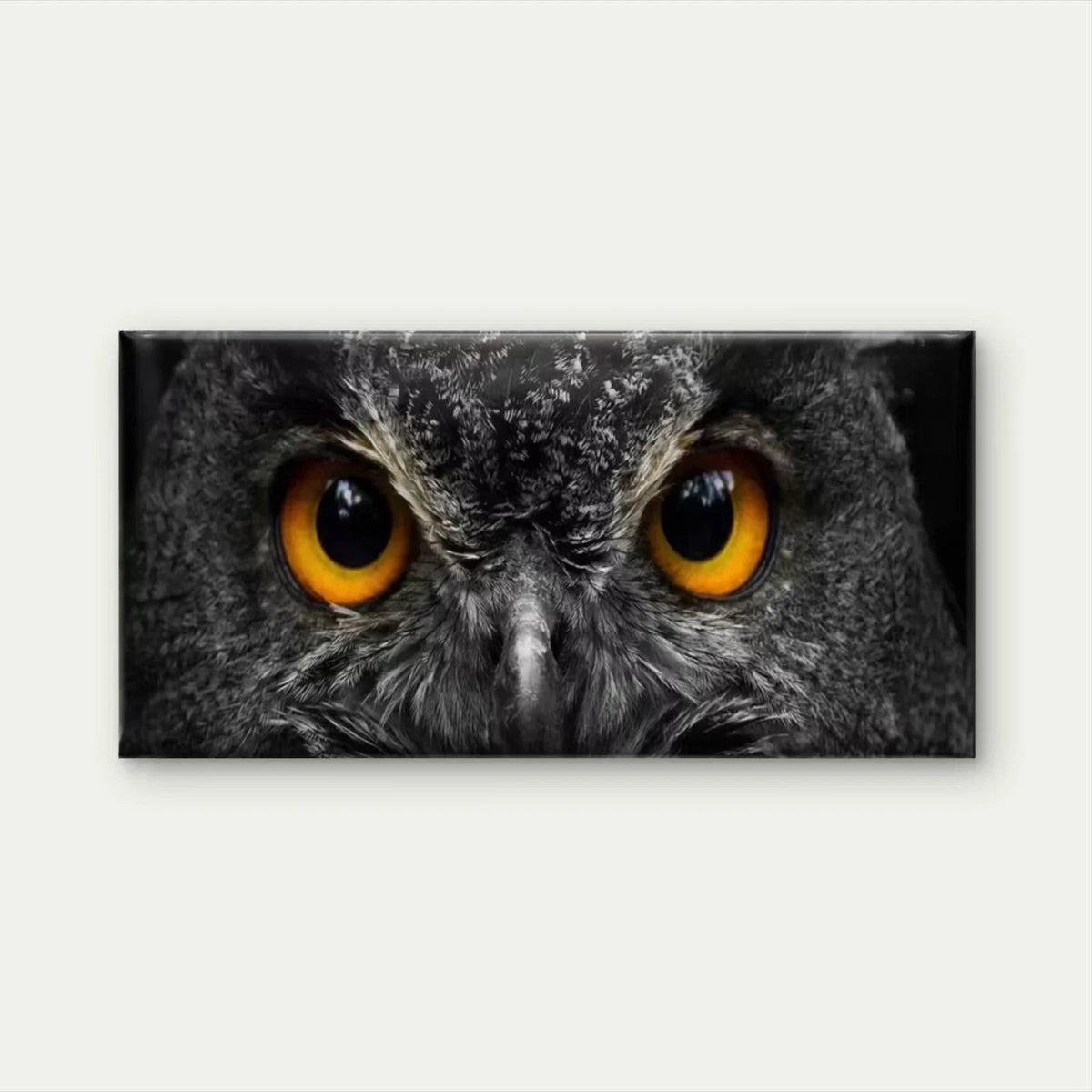 Minimalist & Golden Owl Eyes Wall Art Canvas Office Home Room Framed 80x45cm