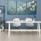 3pcs White Blossom Flower Bunch Canvas Framed 40x60cm - High Quality Print 100% Australian Made Wall Canvas Ready to Hang
