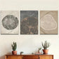 3pcs Nordic Style Tree Ring Stump Abstract Metal Print Ready to Hang Art