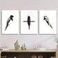 3pcs Black and White Magpie Chinese Pen Bird, Metal Print Ready to Hang Art