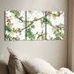 3pcs Tropical Forest Wildlife Monkey Green Leaf Wall Art Set Canvas Framed 40x60cm - High Quality Print 100% Australian Made Wall Canvas Ready to Hang