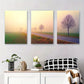 3pcs Serene Foggy Trees Tranquil Metal Print Ready to Hang Art