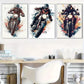 3pcs  Vibrant An Energetic Motorcycle Rider  Wall Art Set Canvas Framed 40x60cm - High Quality Print 100% Australian Made Wall Canvas Ready to Hang