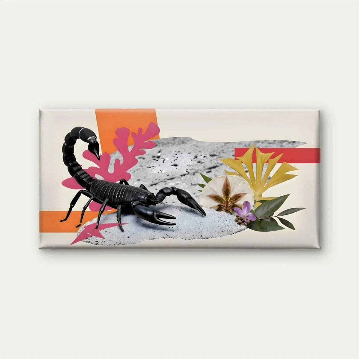 Featuring a Black Scorpion Wall Art Canvas Office Home Room Framed 80x45cm