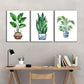 3pcs Botanical Art Potted Plant Poster Dormitory Metal Print Ready to Hang Art