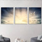 3pcs White Pigeon Rays Natural Scenery Metal Print Ready to Hang Art
