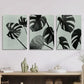 3pcs    Black & White Botanical Scandinavian   Metal Print Ready to Hang Art