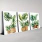 3pcs Modern Nordic Style Indoor plants Wall Art Set Canvas Framed 40x60cm - High Quality Print 100% Australian Made Wall Canvas Ready to Hang