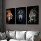 3pcs  Wildlife portrait closeup painting Wall Art Set Canvas Framed 40x60cm - High Quality Print 100% Australian Made Wall Canvas Ready to Hang