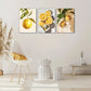 3pcs Golden Lemon & Orange Slices Disco Light Ball Metal Print Ready to Hang Art