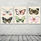 3pcs Abstract Butterfly Vintage Style Metal Print Ready to Hang Art