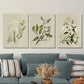 3pcs Vintage Floral Botanical Clematis Metal Print Ready to Hang Art