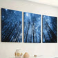 3pcs    Dream forest, starry sky in the forest Wall Art Set Canvas Framed 40x60cm - High Quality Print 100% Australian Made Wall Canvas Ready to Hang