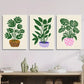 3pcs Monstera deliciosa art in a flower Metal Print Ready to Hang Art
