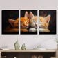 3pcs Adorable Ginger Cute Kitten Black Metal Print Ready to Hang Art