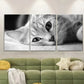 3pcs Black & White Adorable Kitten Art Print Metal Print Ready to Hang Art