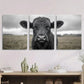 3pcs Black and White land Cow Metal Print Ready to Hang Art