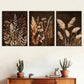 3pcs Retro style grass dry flowers Brownish  Wall Art Set Canvas Framed 40x60cm - High Quality Print 100% Australian Made Wall Canvas Ready to Hang