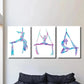 3pcs  Aerial lady silk art silk yoga silhouette  Metal Print Ready to Hang Art