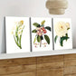3pcs White Red Florals Green Leaves Rose Yellow Wall Art Set Canvas Framed 40x60cm - High Quality Print 100% Australian Made Wall Canvas Ready to Hang