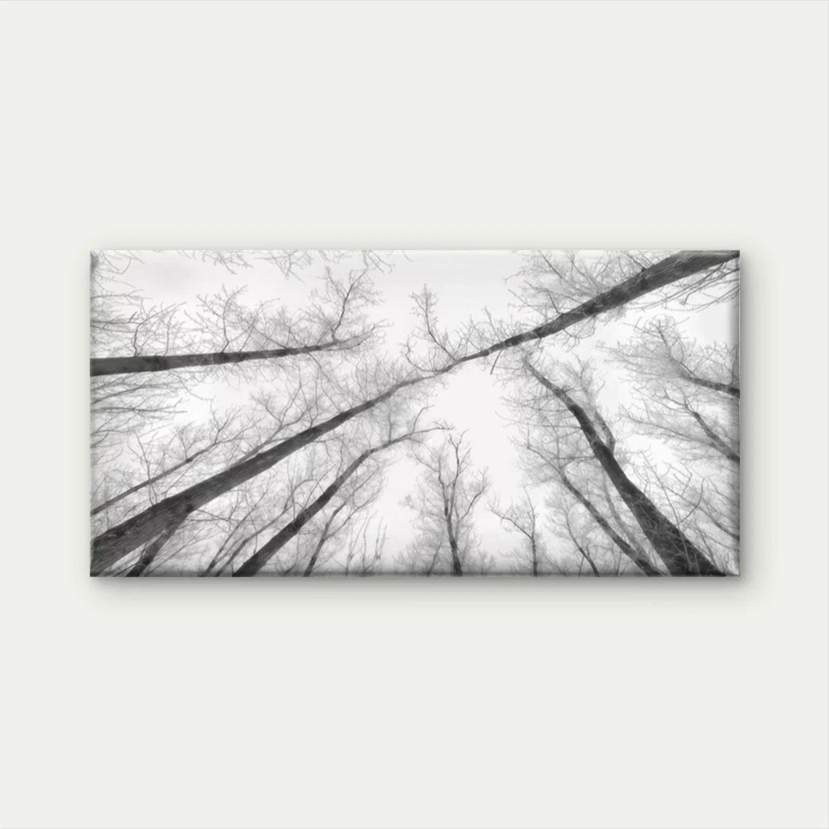 Black and White Winter Forest Wall Art Canvas Office Home Room Framed 120x60cm