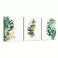3pcs Watercolor Style Eucalyptus Tropical Wall Art Set Canvas Framed 40x60cm - High Quality Print 100% Australian Made Wall Canvas Ready to Hang