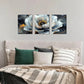 3pcs  Flower Pictures Black and White Metal Print Ready to Hang Art