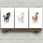 3pcs Horse Print Animal Portrait Art Poster Metal Print Ready to Hang Art