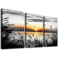 3pcs Abstract Modern Black and White Nature Wall Art Set Canvas Framed 40x60cm - High Quality Print 100% Australian Made Wall Canvas Ready to Hang
