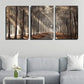 3pcs Forest Landscape  Wall Art Set Canvas Framed 40x60cm - High Quality Print 100% Australian Made Wall Canvas Ready to Hang