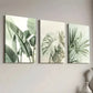 3pcs Minimalist Landscape Natural Plant Leaves Wall Art Set Canvas Framed 40x60cm - High Quality Print 100% Australian Made Wall Canvas Ready to Hang