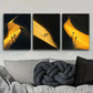 3pcs  He came out of the light  Metal Print Ready to Hang Art
