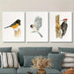 3pcs Spotted Thrush, Carolina Chickadee, Wood Metal Print Ready to Hang Art