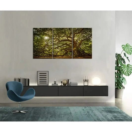 3pcs Large Old Tree in Sunshine  Metal Print Ready to Hang Art